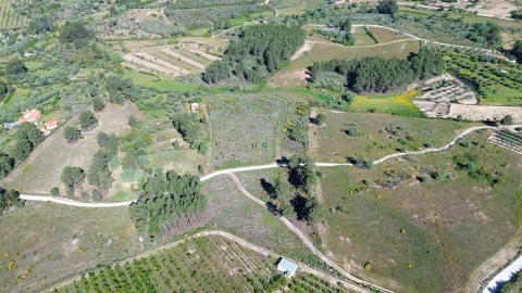 Terreno Agricola ou Rústico para Venda em Vale de Prazeres e Mata da Rainha