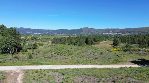 Terreno Agricola ou Rústico para Venda em Vale de Prazeres e Mata da Rainha