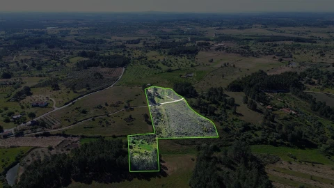 Terreno Agricola ou Rústico para Venda em Vale de Prazeres e Mata da Rainha