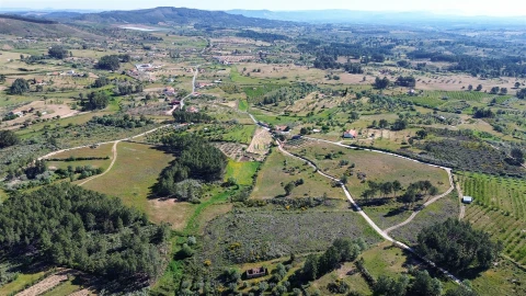 Terreno Agricola ou Rústico para Venda em Vale de Prazeres e Mata da Rainha