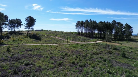 Terreno Agricola ou Rústico para Venda em Vale de Prazeres e Mata da Rainha