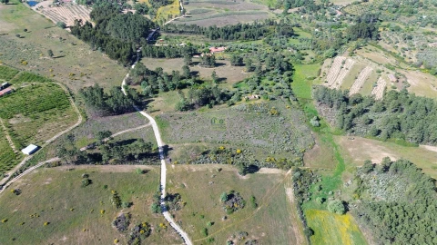 Terreno Agricola ou Rústico para Venda em Vale de Prazeres e Mata da Rainha