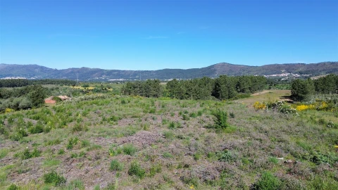 Terreno Agricola ou Rústico para Venda em Vale de Prazeres e Mata da Rainha