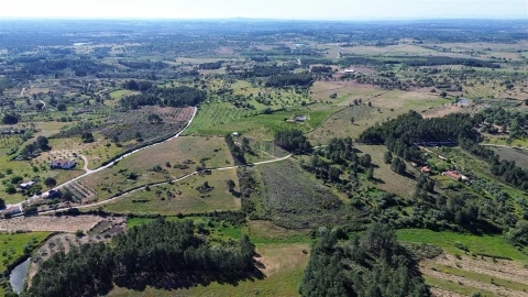 Terreno Agricola ou Rústico para Venda em Vale de Prazeres e Mata da Rainha