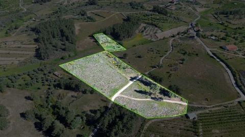 Terreno Agricola ou Rústico para Venda em Vale de Prazeres e Mata da Rainha
