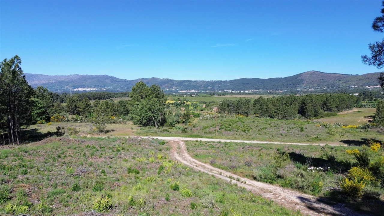 Terreno Agricola ou Rústico para Venda em Vale de Prazeres e Mata da Rainha Foto 30