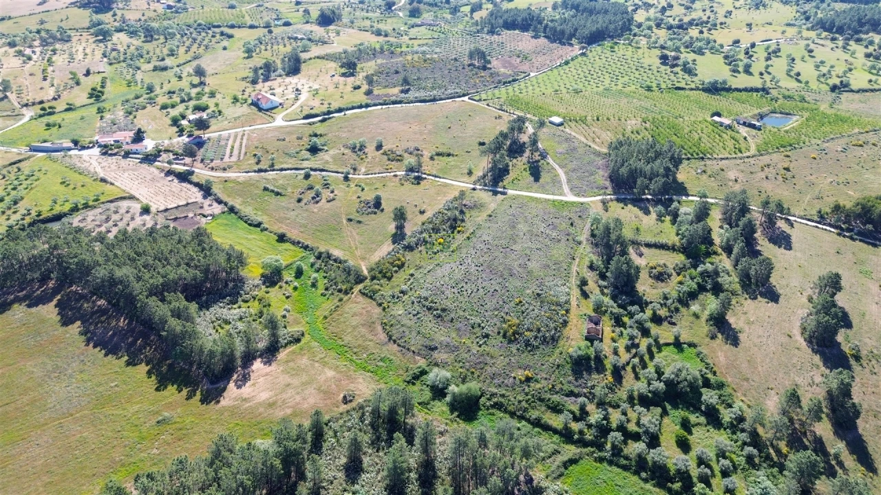 Terreno Agricola ou Rústico para Venda em Vale de Prazeres e Mata da Rainha Foto 6