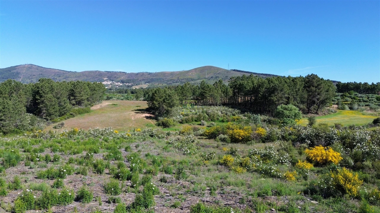 Terreno Agricola ou Rústico para Venda em Vale de Prazeres e Mata da Rainha Foto 42