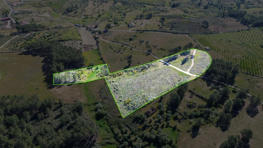 Terreno Agricola ou Rústico para Venda em Vale de Prazeres e Mata da Rainha Foto 7