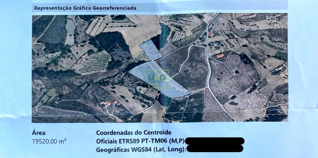 Terreno Agricola ou Rústico para Venda em Vale de Prazeres e Mata da Rainha Foto 43