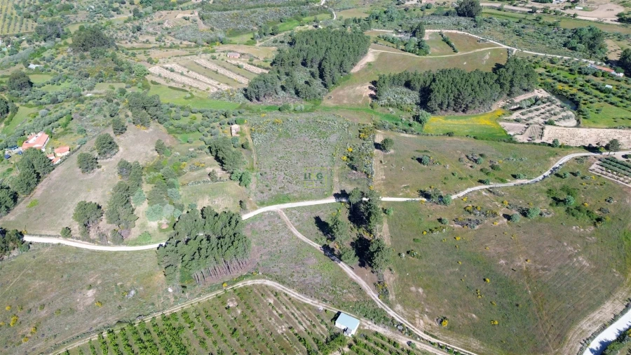 Terreno Agricola ou Rústico para Venda em Vale de Prazeres e Mata da Rainha Foto 12