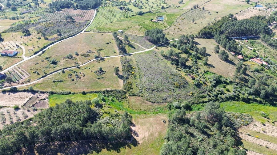 Terreno Agricola ou Rústico para Venda em Vale de Prazeres e Mata da Rainha Foto 2