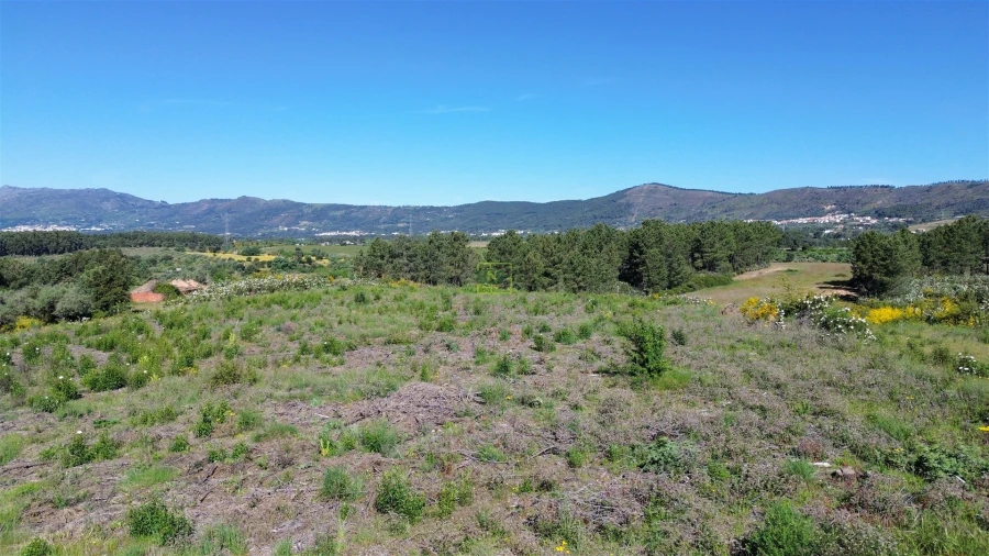 Terreno Agricola ou Rústico para Venda em Vale de Prazeres e Mata da Rainha Foto 40