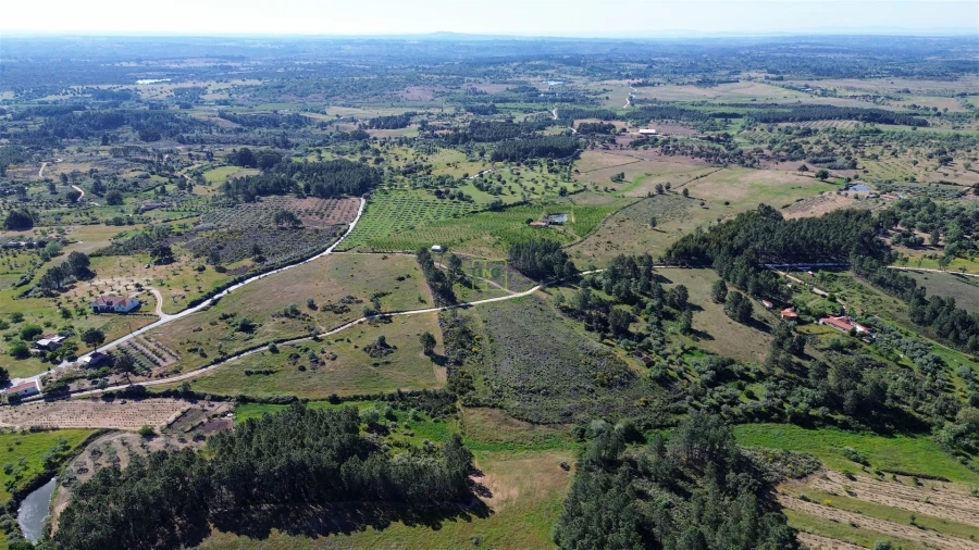 Terreno Agricola ou Rústico para Venda em Vale de Prazeres e Mata da Rainha Foto 4