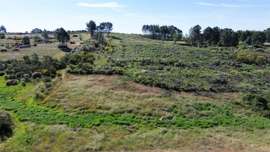 Terreno Agricola ou Rústico para Venda em Vale de Prazeres e Mata da Rainha Foto 20