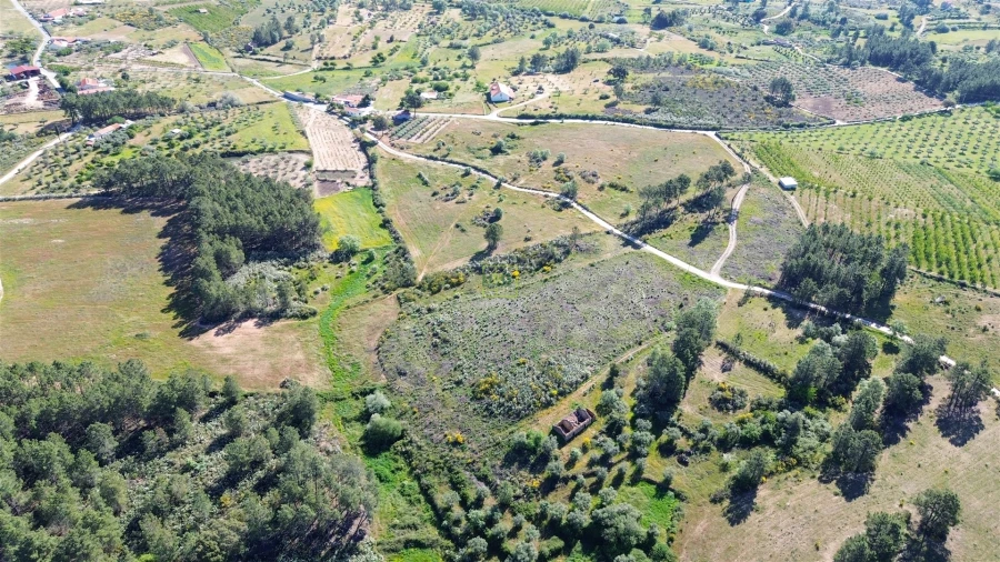 Terreno Agricola ou Rústico para Venda em Vale de Prazeres e Mata da Rainha Foto 8