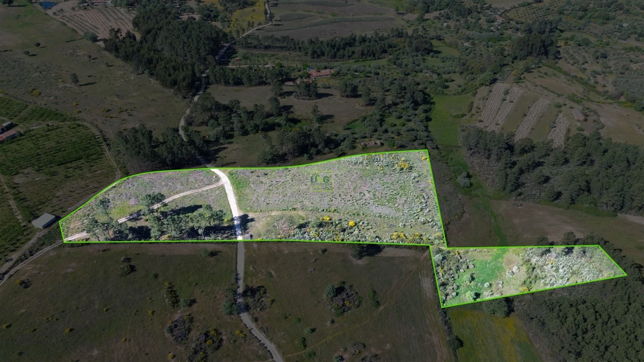 Terreno Agricola ou Rústico para Venda em Vale de Prazeres e Mata da Rainha Foto 15