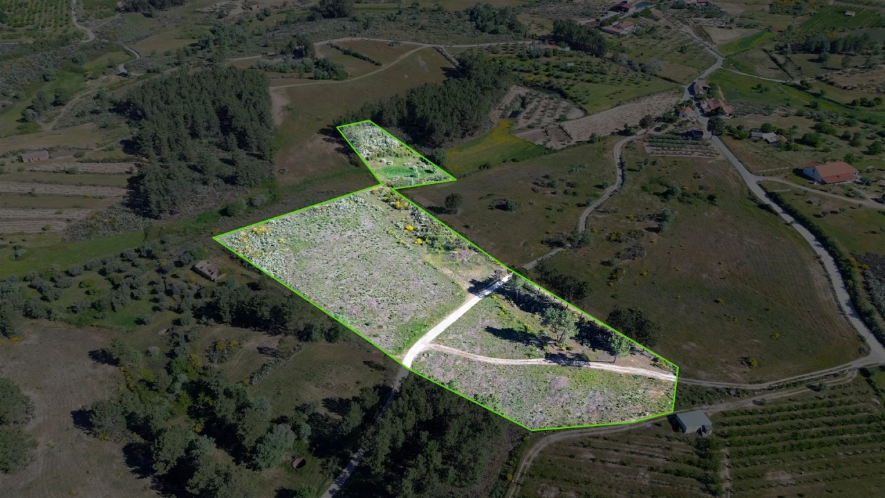 Terreno Agricola ou Rústico para Venda em Vale de Prazeres e Mata da Rainha Foto 9