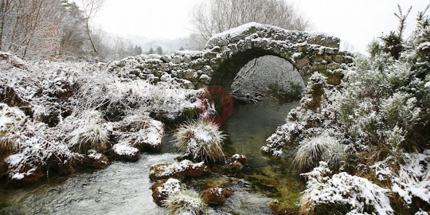 Moradia T2 para Venda em Castro Laboreiro e Lamas de Mouro Foto 10