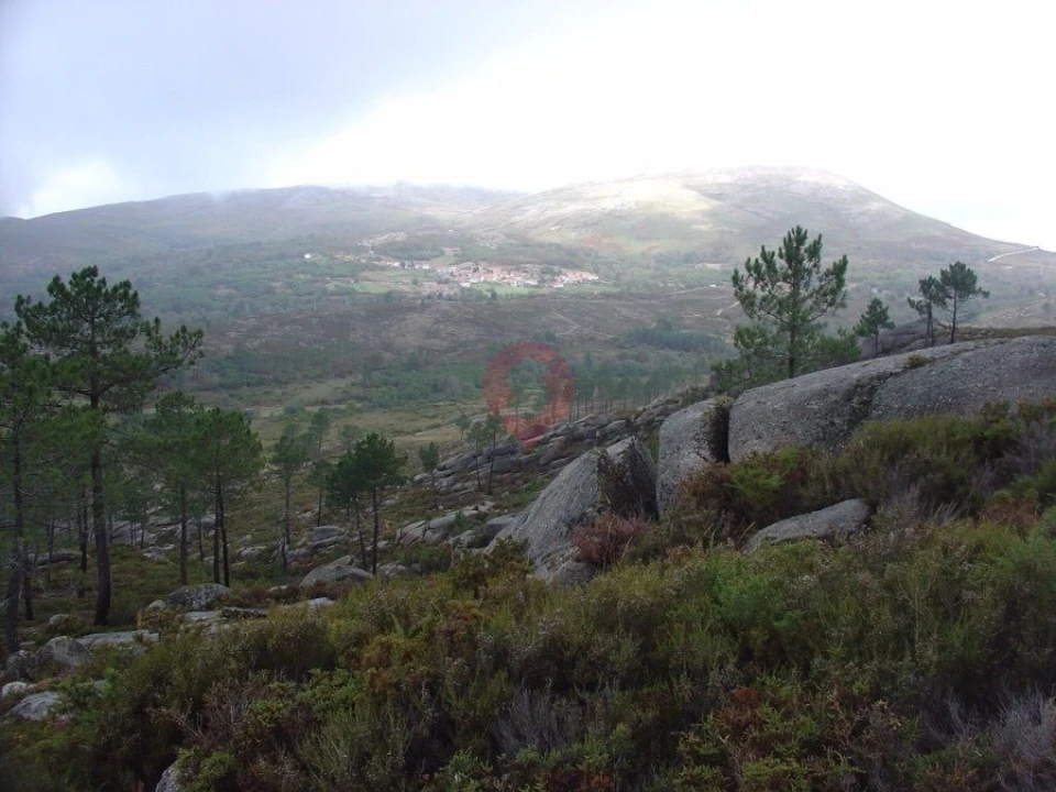 Moradia T2 para Venda em Castro Laboreiro e Lamas de Mouro Foto 13