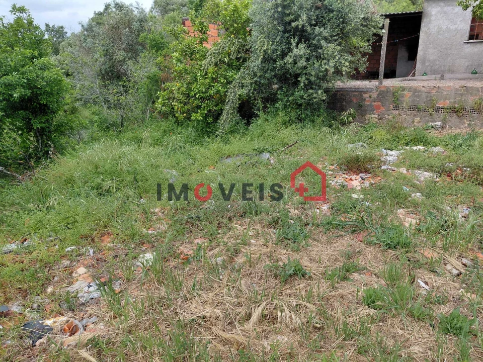 Terreno para Venda em Madalena e Beselga Foto 6