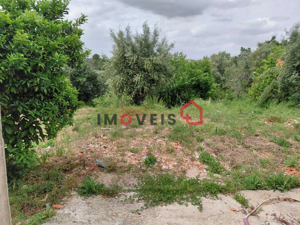 Terreno para Venda em Madalena e Beselga Foto 4