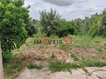 Terreno para Venda em Madalena e Beselga