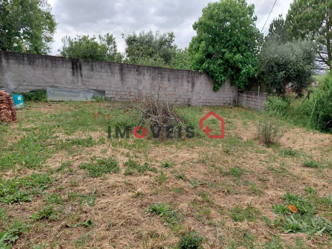 Terreno para Venda em Madalena e Beselga Foto 8