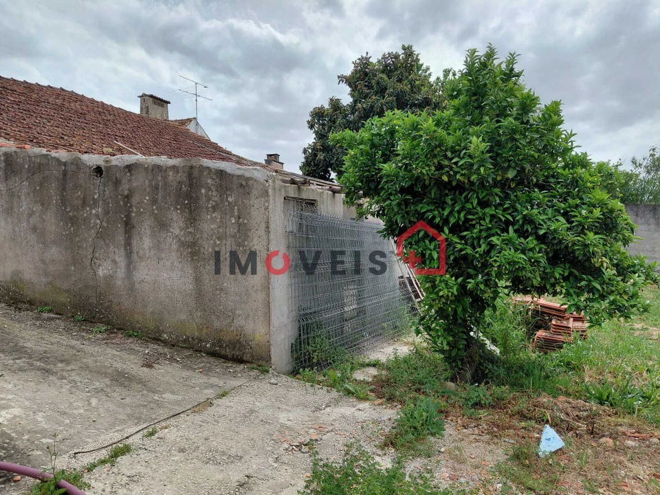 Terreno para Venda em Madalena e Beselga Foto 7