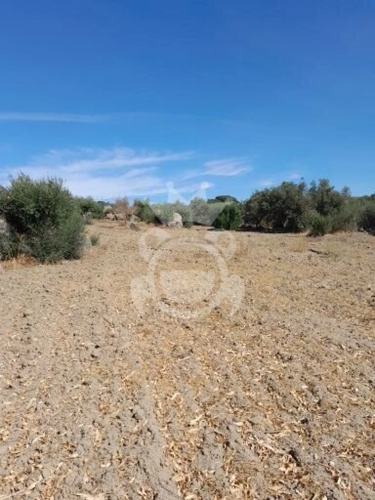 Terreno para Venda em Corval Foto 3