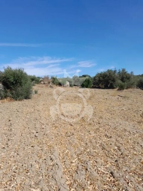 Terreno para Venda em Corval