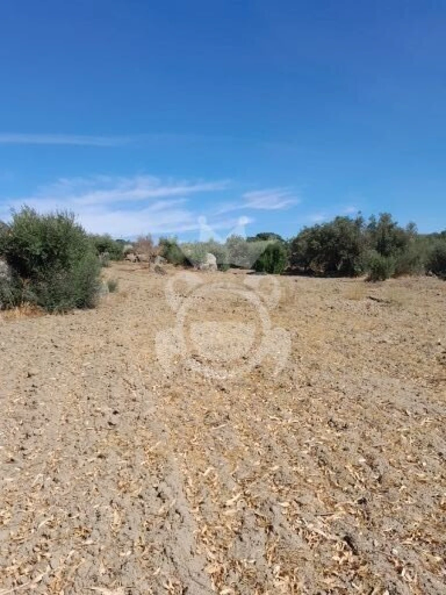 Terreno para Venda em Corval Foto 3