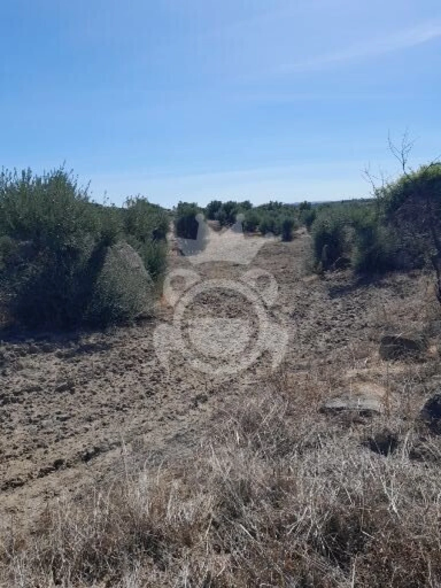 Terreno para Venda em Corval Foto 2