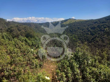 Terreno para Venda em Serpa (Salvador e Santa Maria)