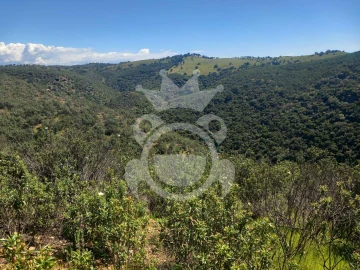 Terreno para Venda em Serpa (Salvador e Santa Maria)