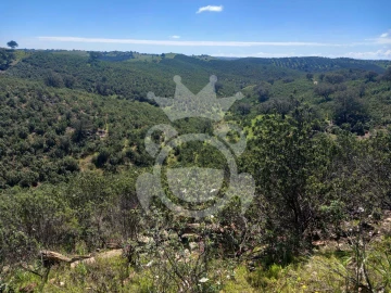 Terreno para Venda em Serpa (Salvador e Santa Maria)