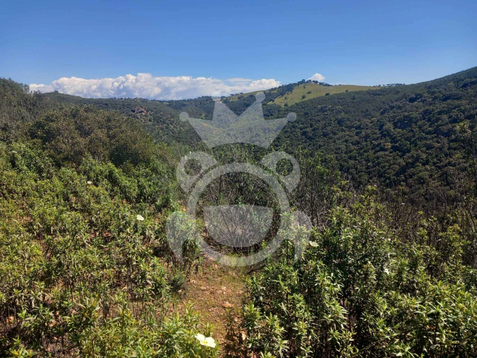 Terreno para Venda em Serpa (Salvador e Santa Maria) Foto 3