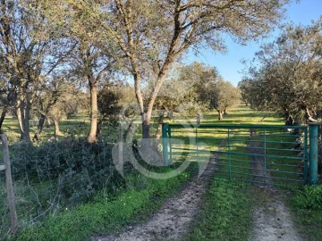 Terreno para Venda em Corval