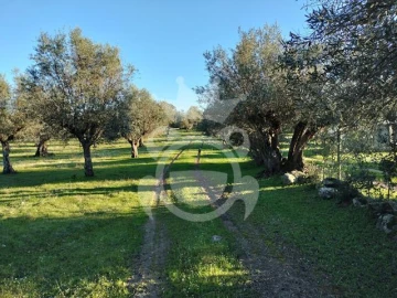 Terreno para Venda em Corval