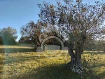 Terreno para Venda em Corval