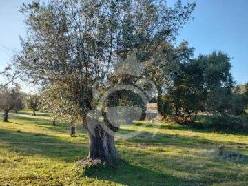 Terreno para Venda em Corval