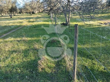 Terreno para Venda em Corval