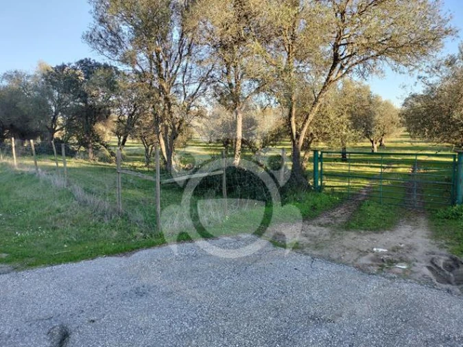 Terreno para Venda em Corval Foto 2