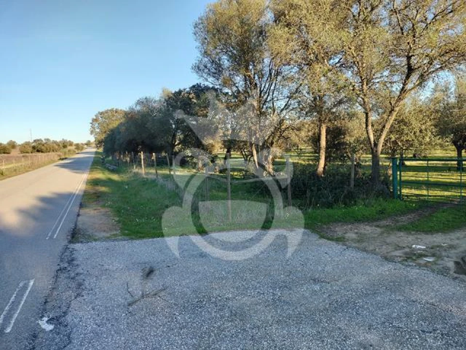 Terreno para Venda em Corval Foto 3