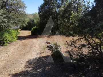 Terreno para Venda em Querença, Tôr e Benafim