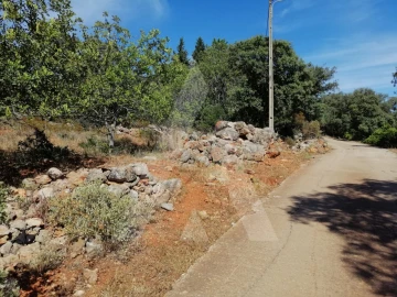 Terreno para Venda em Querença, Tôr e Benafim