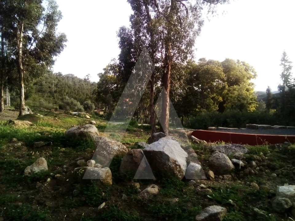 Terreno para Venda em Monchique Foto 2