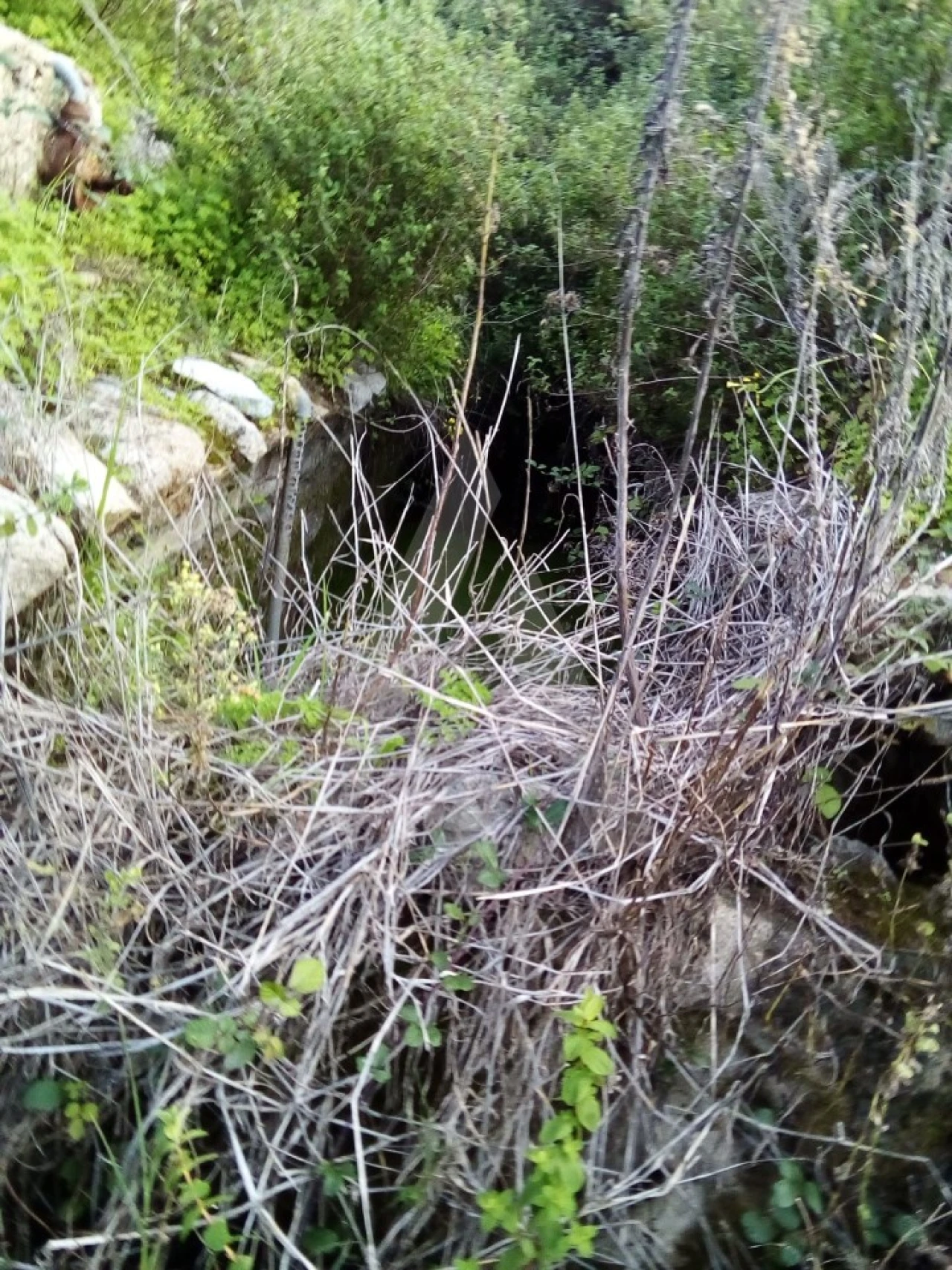 Terreno para Venda em Monchique Foto 12