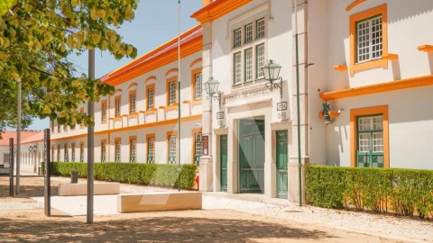 Terreno para Venda em Gafanha da Encarnação