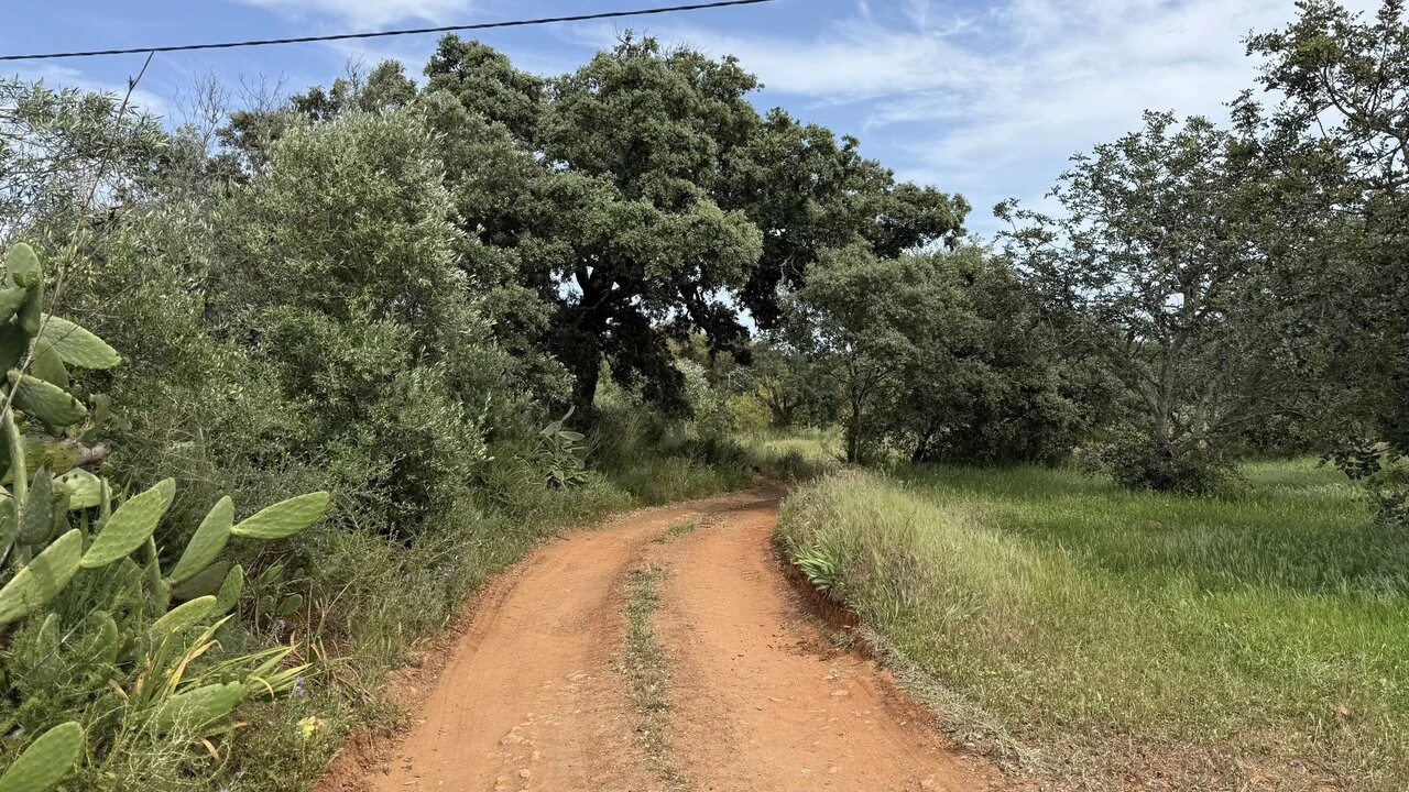 Moradia T0 para Venda em São Bartolomeu de Messines Foto 7